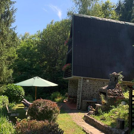 Holiday Home Dragonfly River House On Korana Near Plitvice And Mreznica Barilovic Luaran gambar