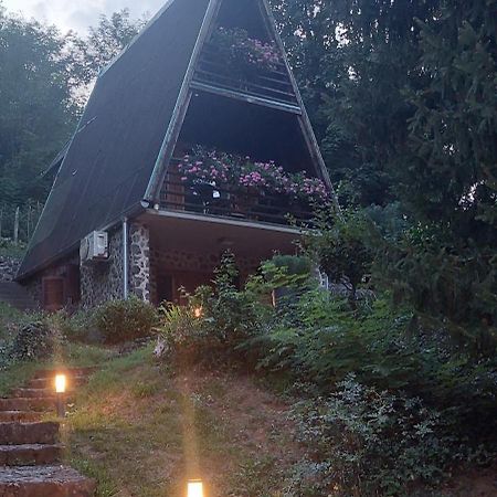 Holiday Home Dragonfly River House On Korana Near Plitvice And Mreznica Barilovic Luaran gambar