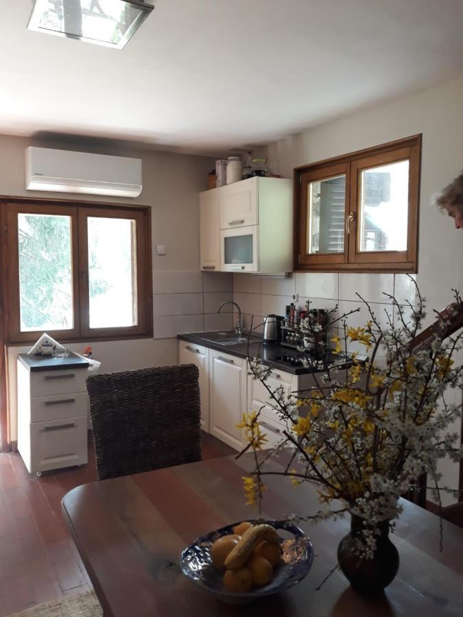 Holiday Home Dragonfly River House On Korana Near Plitvice And Mreznica Barilovic Luaran gambar