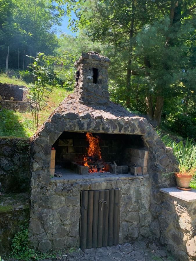 Holiday Home Dragonfly River House On Korana Near Plitvice And Mreznica Barilovic Luaran gambar